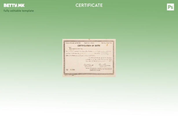 модерен стил шаблон за потврда за раѓање на Њујоршкиот оддел за здравство